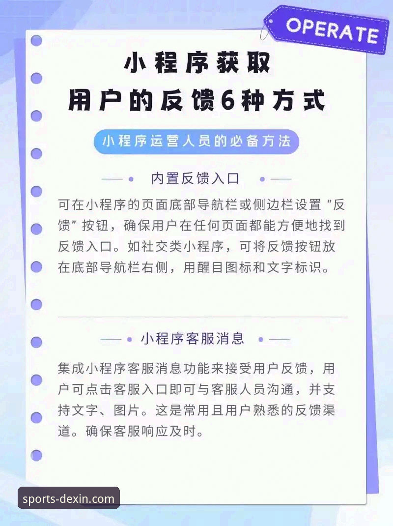 德信体育平台APP下载与使用全攻略：从获取到反馈的实用指南