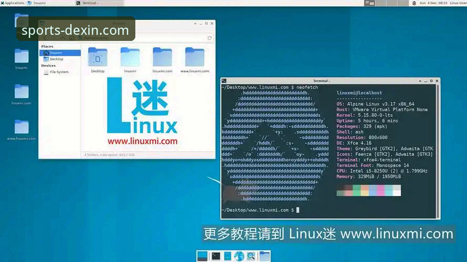 德信体育APP获取 德信体育平台APP获取详解:官方下载与安装全指南